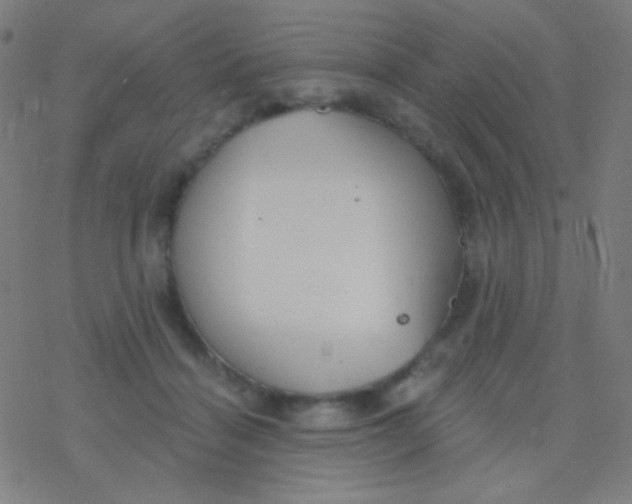 X0000077370460200611101708