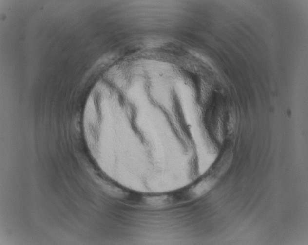 X0000077370461200611101708