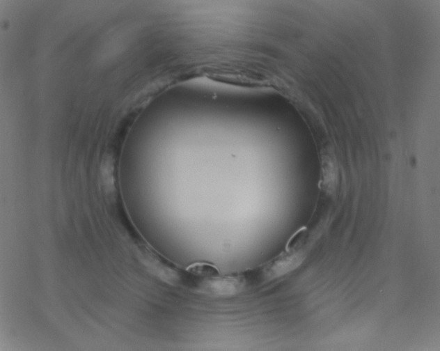 X0000077370466200611101708