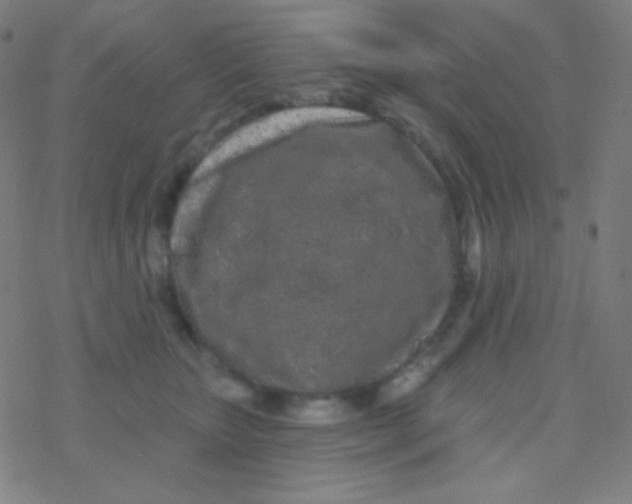 X0000077370467200611101708