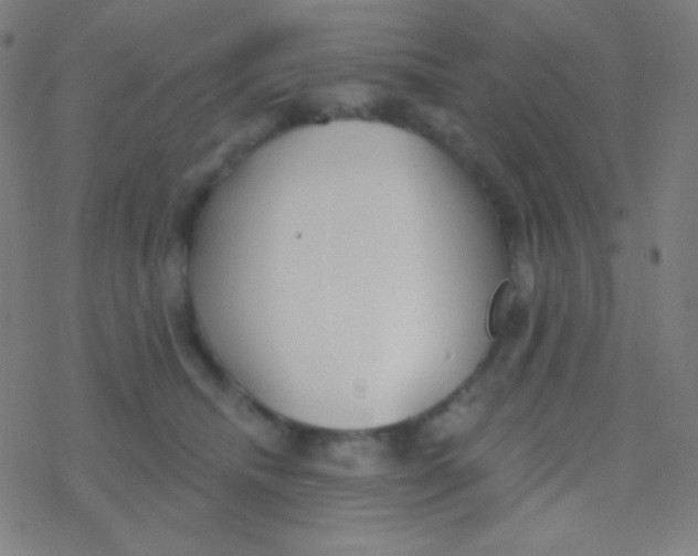 X0000077370468200611101708