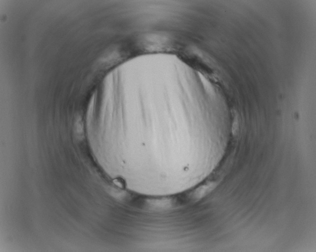 X0000077370469200611101708