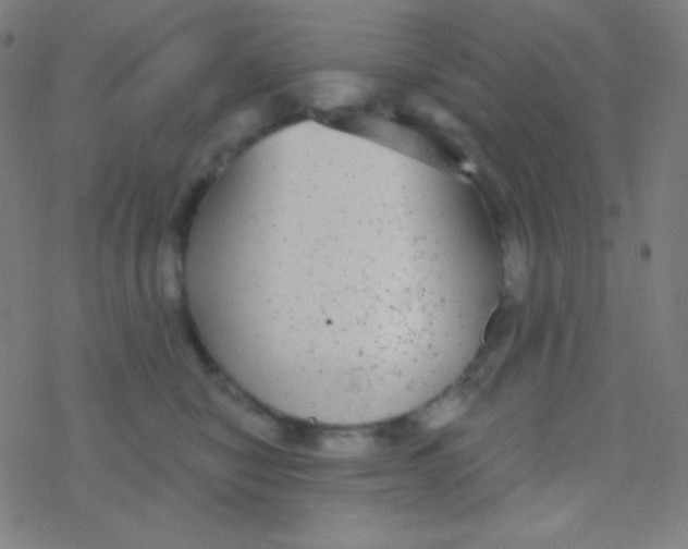 X0000077370470200611101709