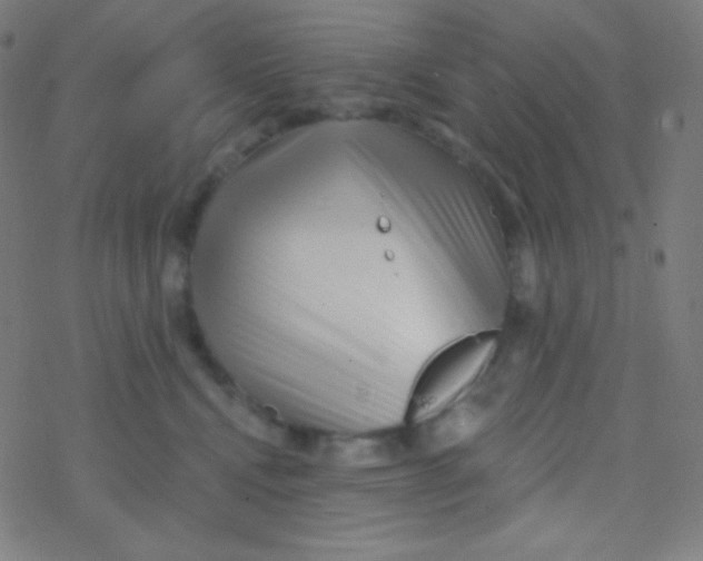 X0000077370472200611101709