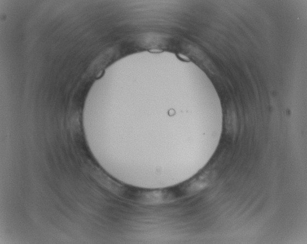 X0000077370473200611101709