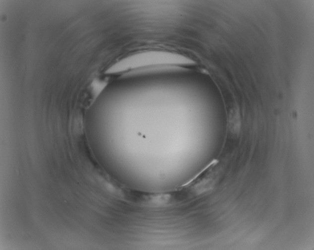 X0000077370474200611101709