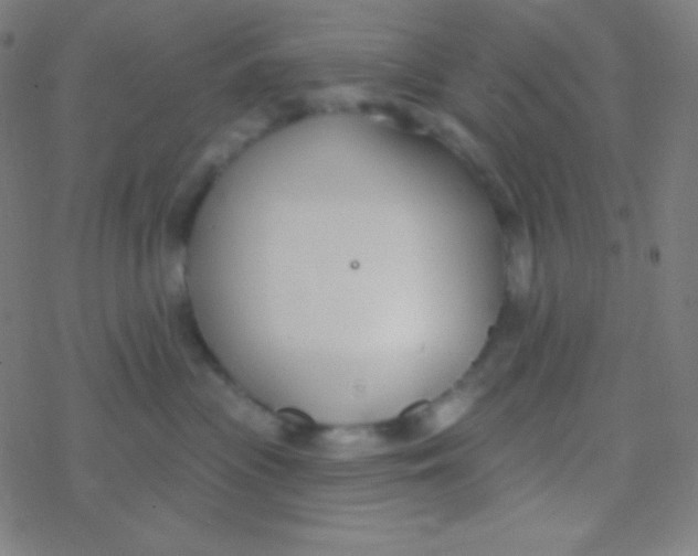 X0000077370477200611101709