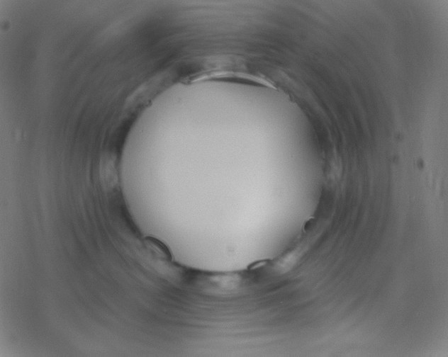 X0000077370478200611101709