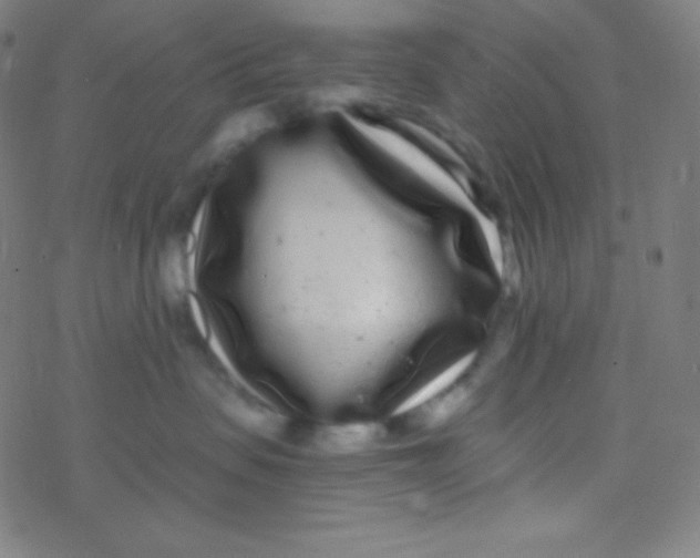 X0000077370479200611101709