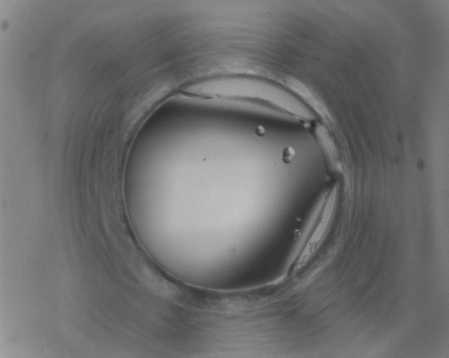 X0000077370481200611101708