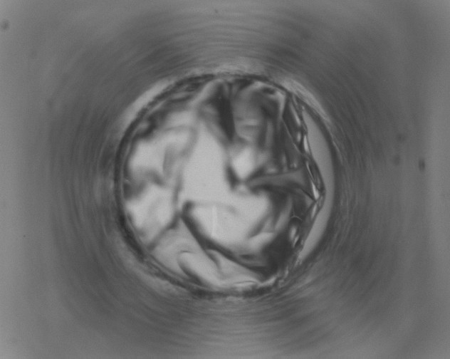 X0000077370483200611101708