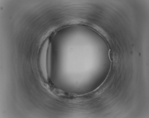 X0000077370485200611101708