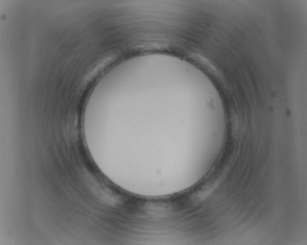 X0000077370490200611101708