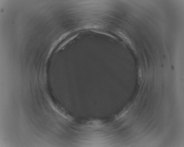 X0000077370492200611101708