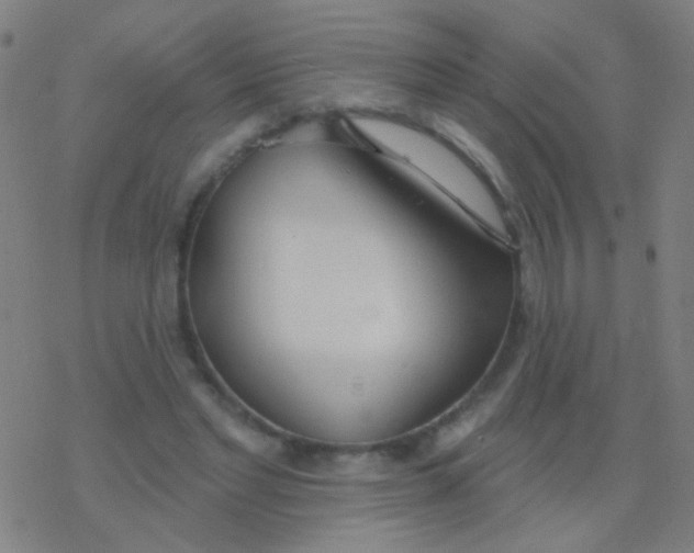 X0000077370493200611101708