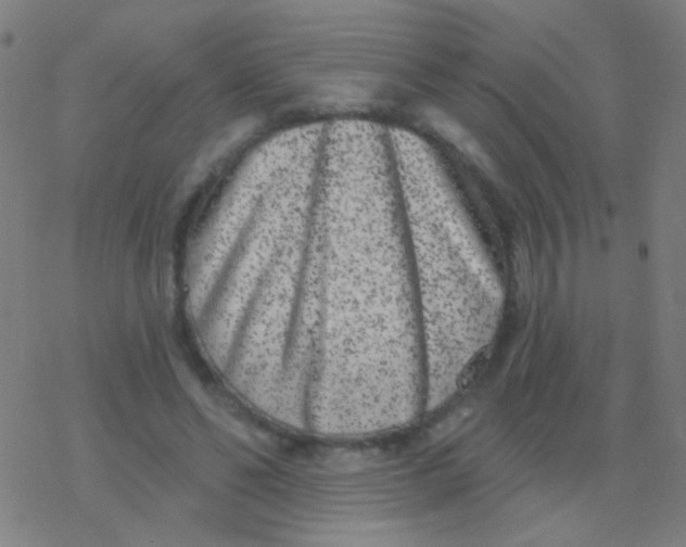 X0000077370494200611101708