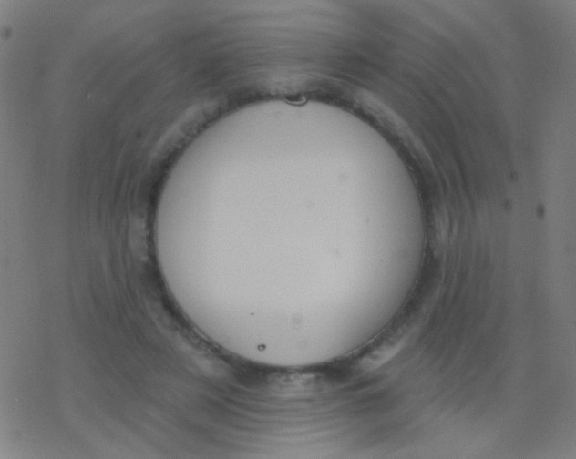 X0000077370497200611101708