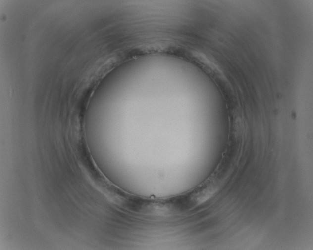 X0000077370498200611101708