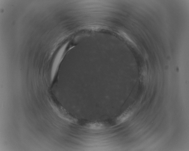 X0000077370500200611101708