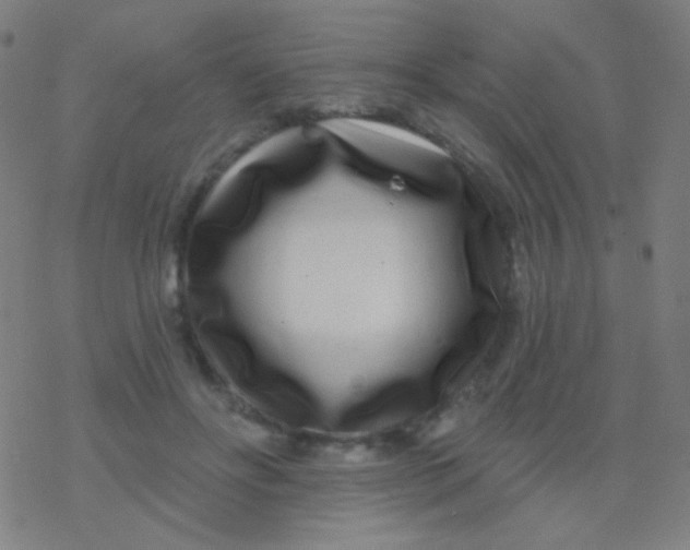 X0000077370502200611101708