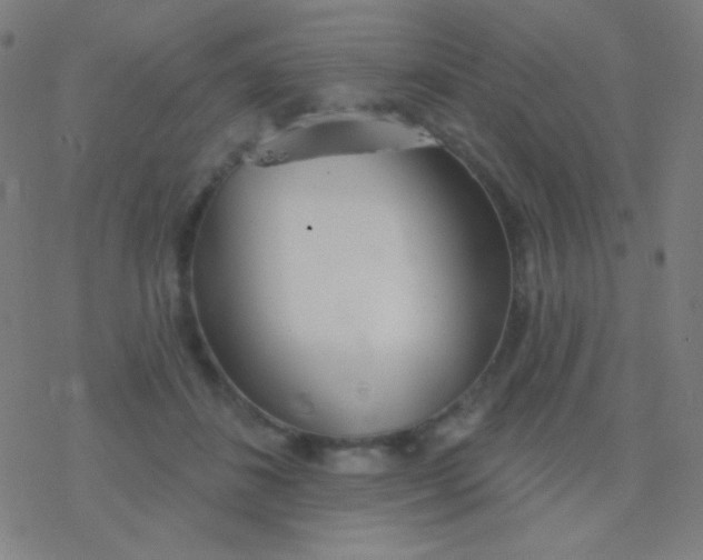 X0000077370508200611101707