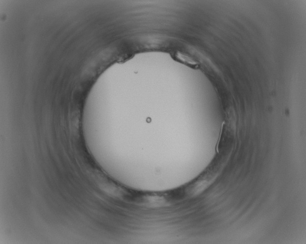 X0000077370509200611101707