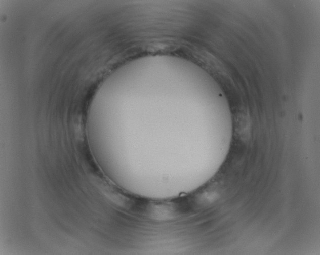 X0000077370510200611101707