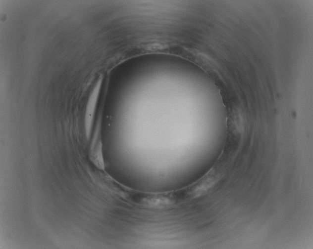 X0000077370512200611101707