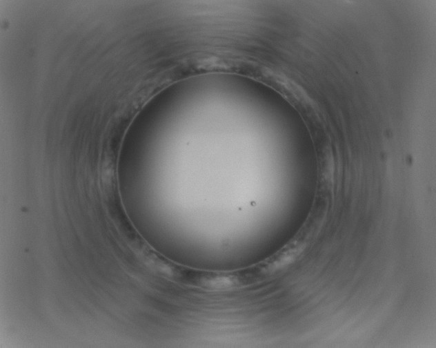 X0000077370513200611101707