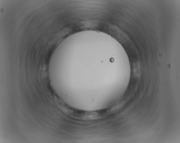 X0000077370514200611101707