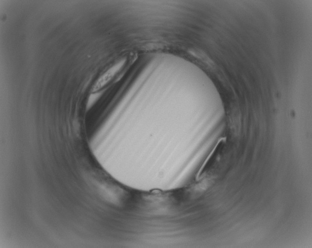 X0000077370516200611101707