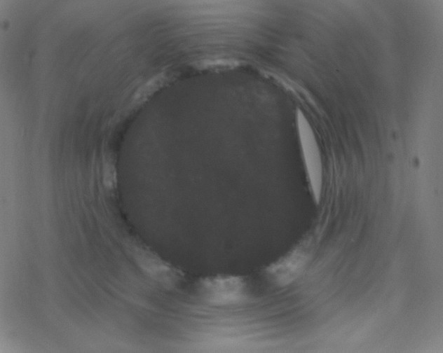 X0000077370517200611101707