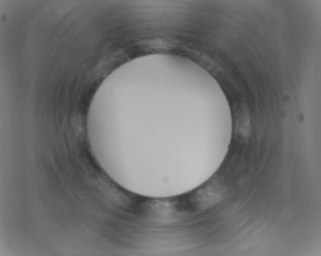 X0000077370518200611101707