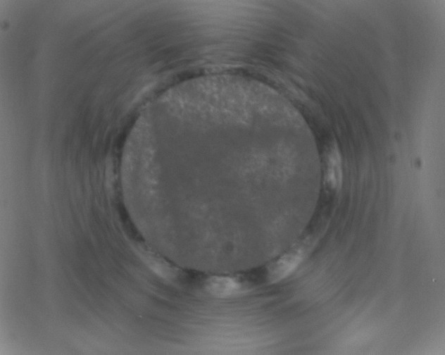 X0000077370519200611101707