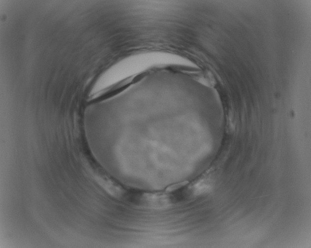 X0000077370520200611101707