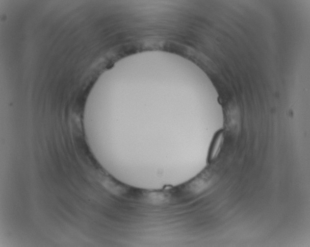 X0000077370522200611101707