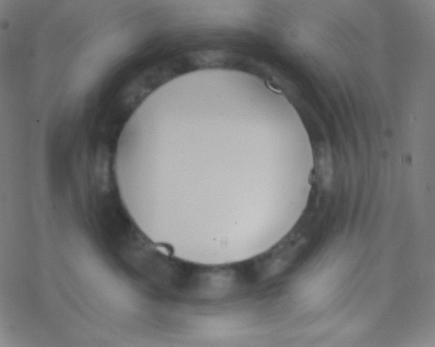 X0000077370525200611101707