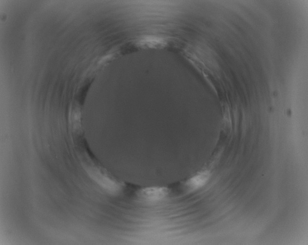 X0000077370526200611101707