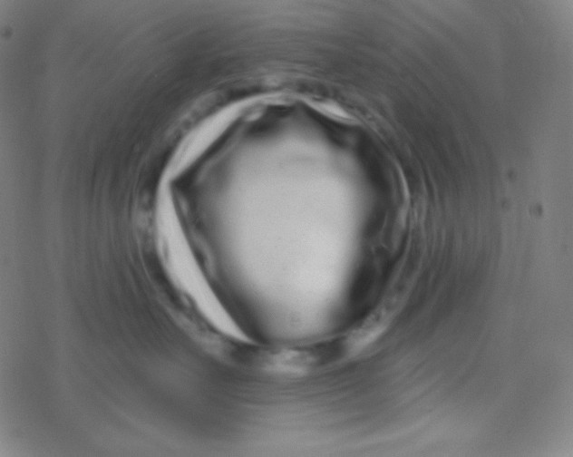 X0000077370527200611101707