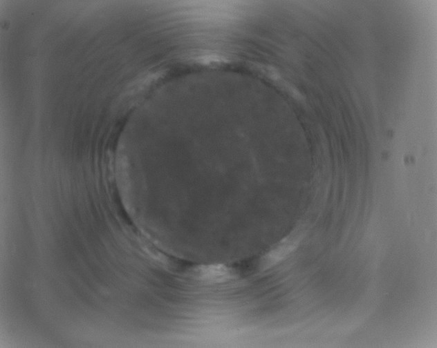 X0000077370528200611101707