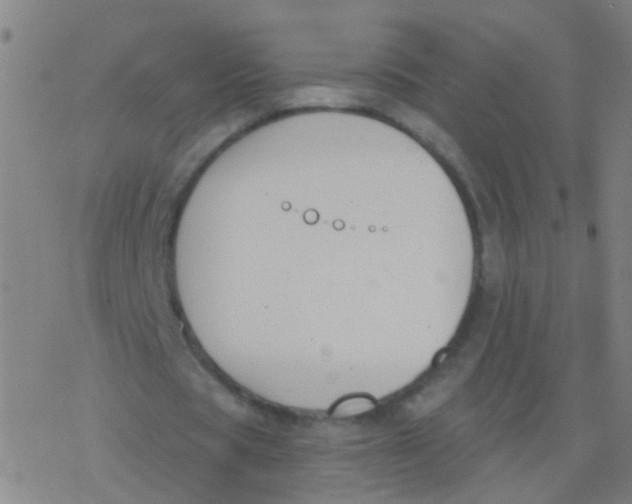 X0000077370529200611101706