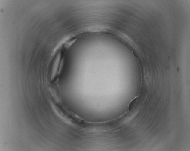 X0000077370530200611101706