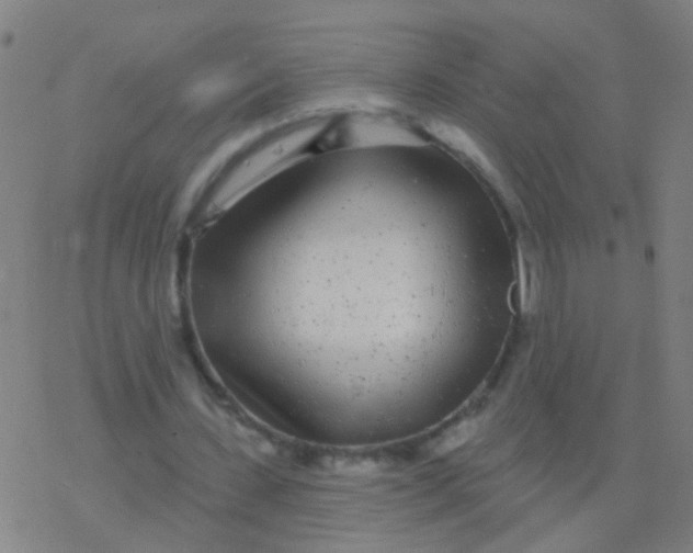 X0000077370531200611101706