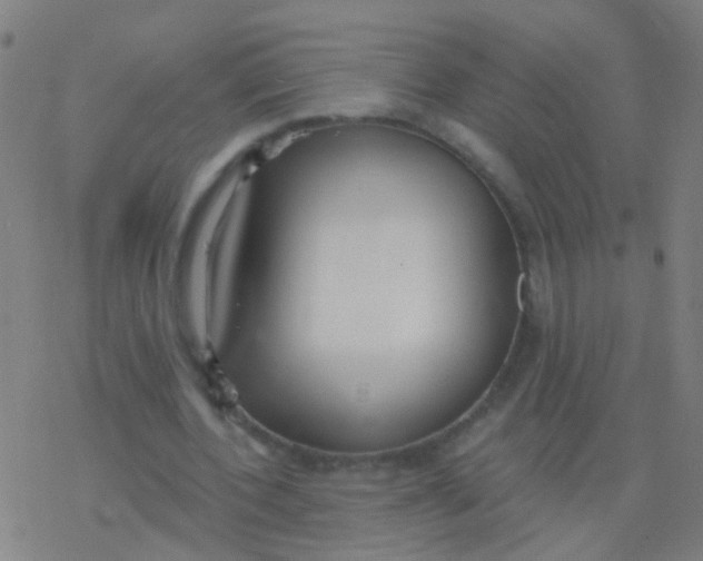 X0000077370532200611101706