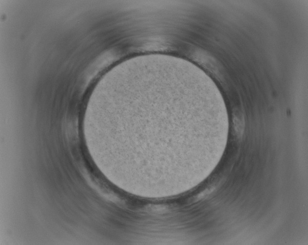 X0000077370534200611101706