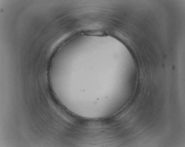 X0000077370535200611101706