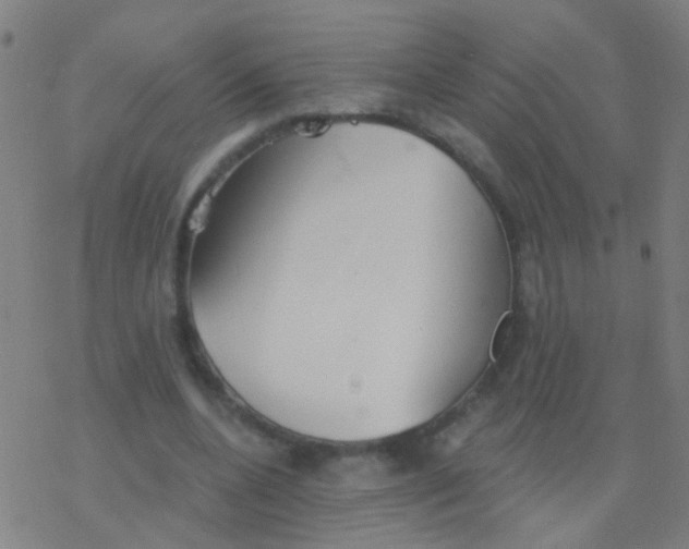 X0000077370536200611101706