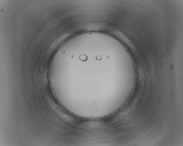 X0000077370537200611101706