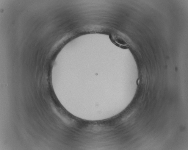 X0000077370538200611101706