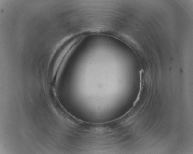 X0000077370540200611101707